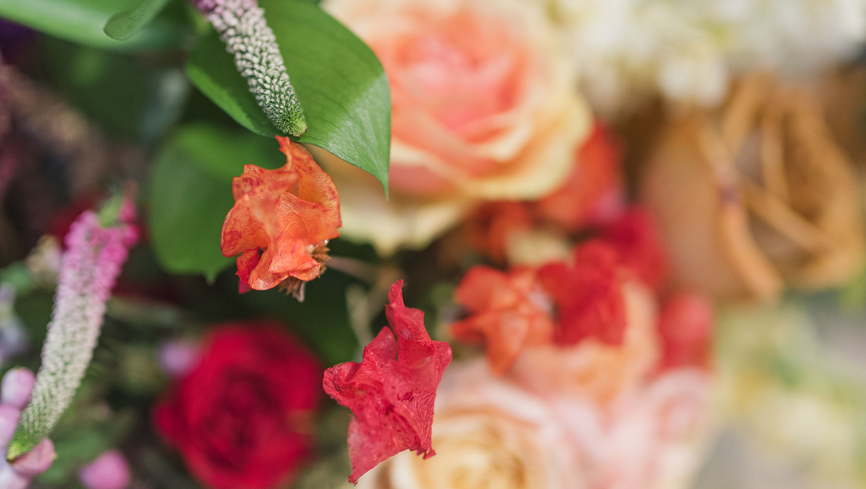 A closeup of a floral arrangement, orange, yellow, and pink flowers.